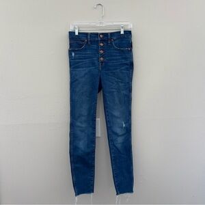 Maxwell 10 inch High Rise Skinny Raw Hem